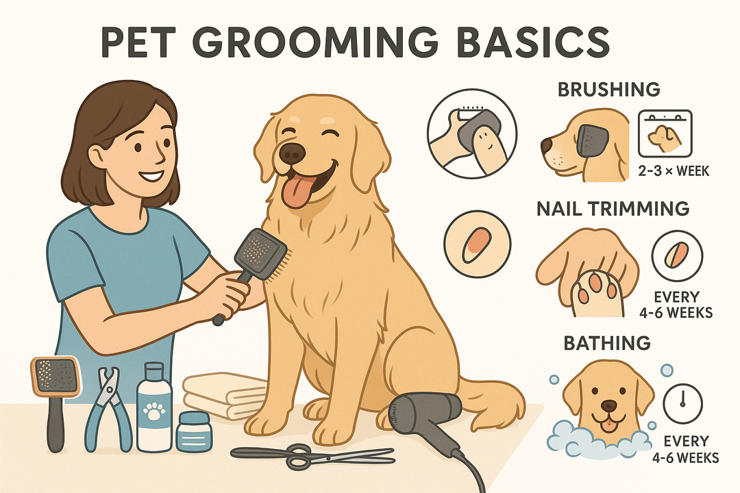 Grooming Basics for a Healthy Pet