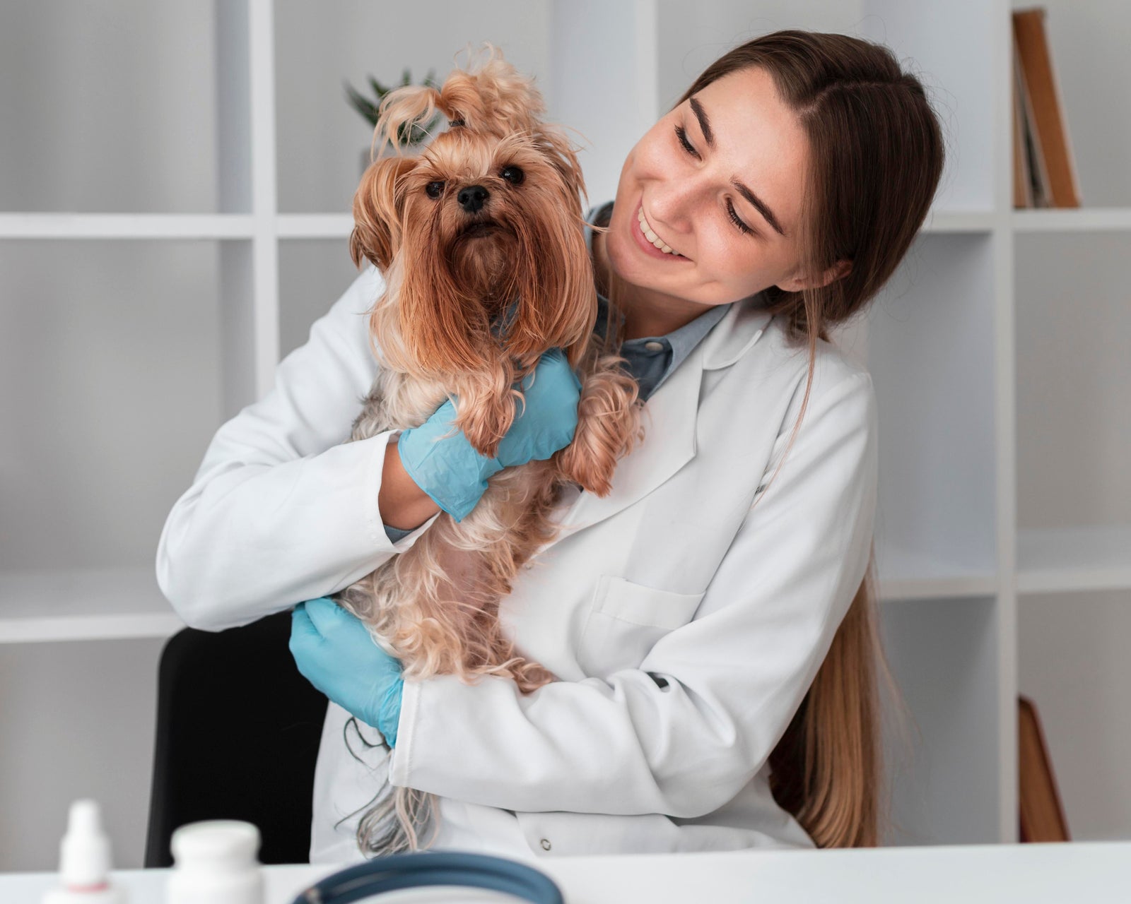 The Ultimate Guide to Pet Health and Wellness