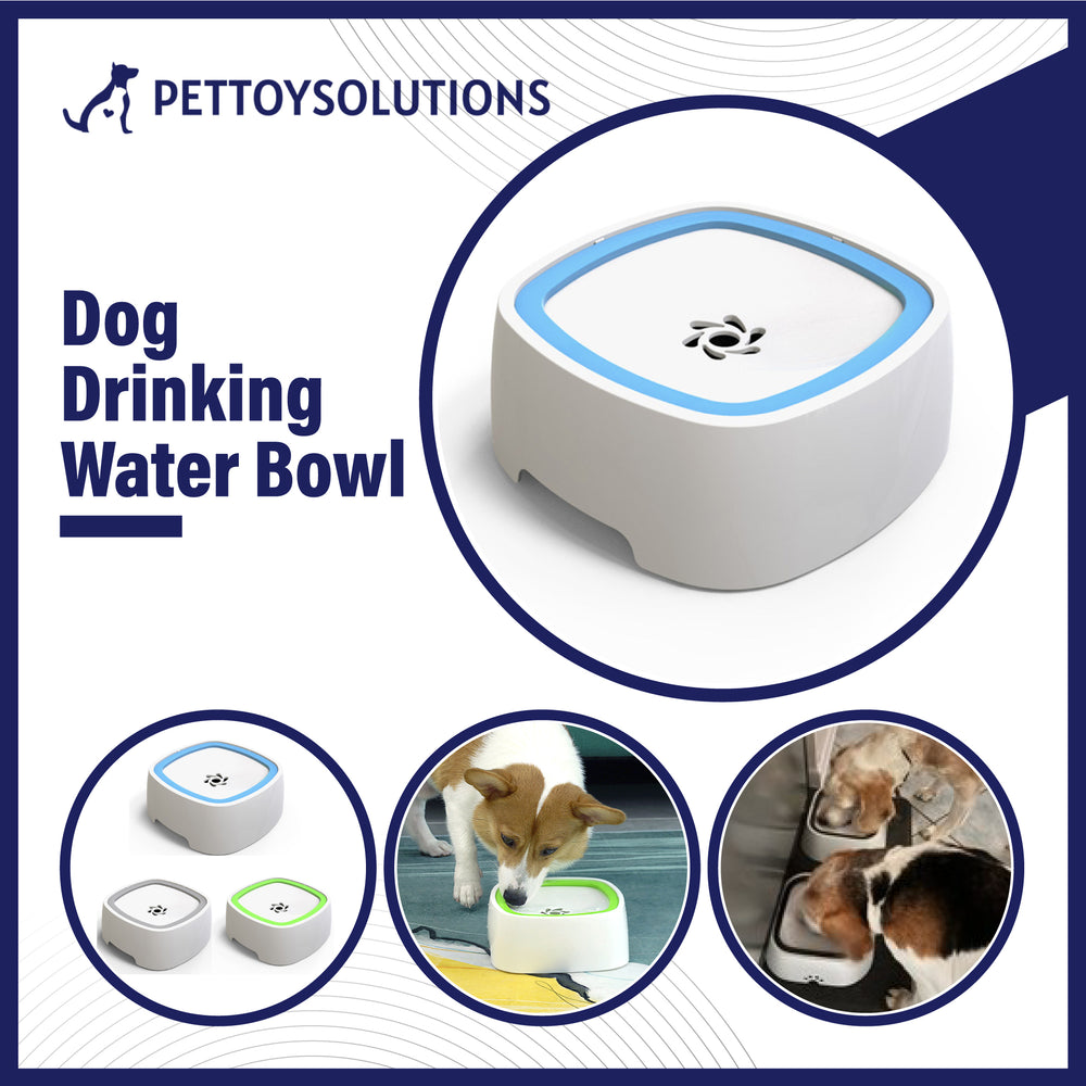 Dog Drinking Water Bowl - Non-Spill Pet Water Bowl